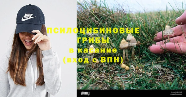 марки nbome Зеленокумск