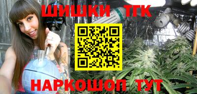 стаф Лесосибирск
