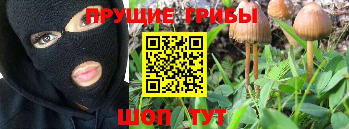 Псилоцибиновые грибы прущие грибы  Галлюциногенные грибы GOLDEN TEACHER  Москва 