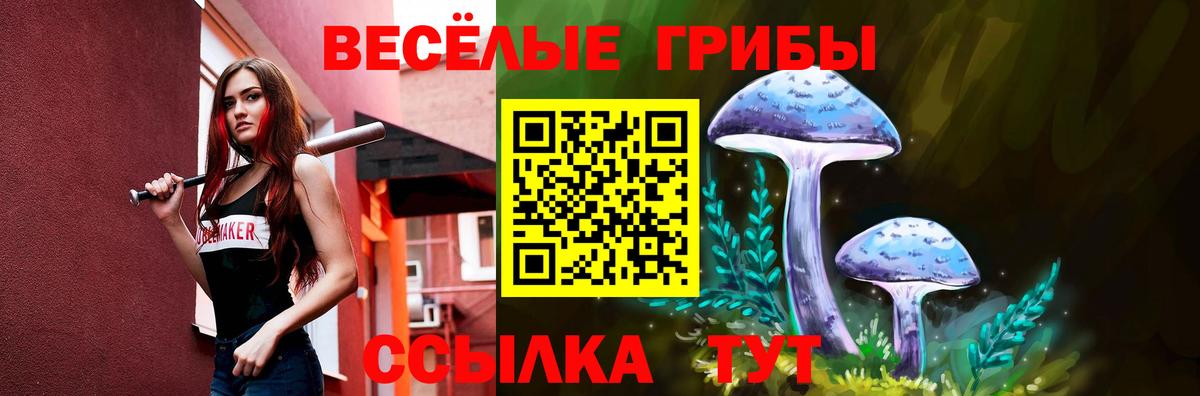 Галлюциногенные грибы Psilocybine cubensis Москва