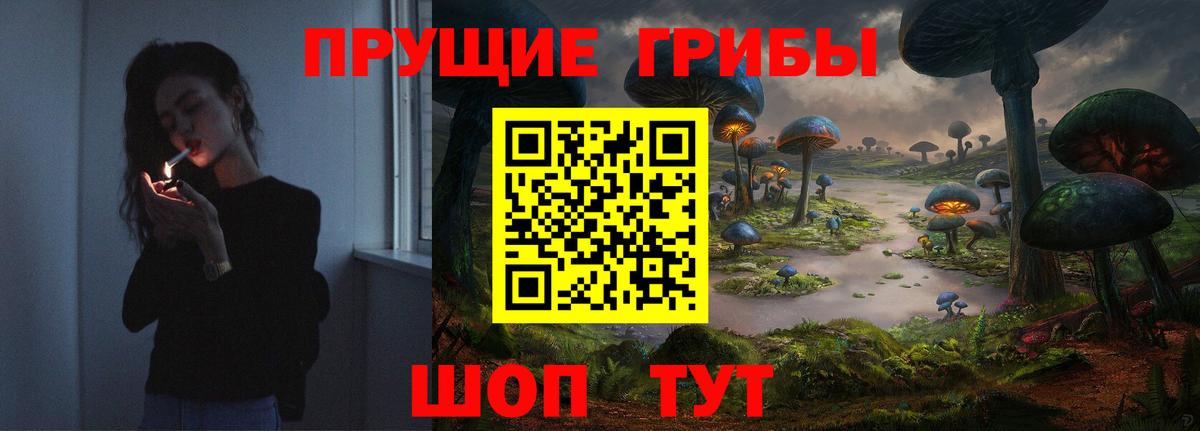 Галлюциногенные грибы MAGIC MUSHROOMS  Вход с VPN  Москва 